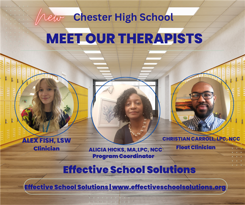Meet Our Therapists with Effective School Solutions